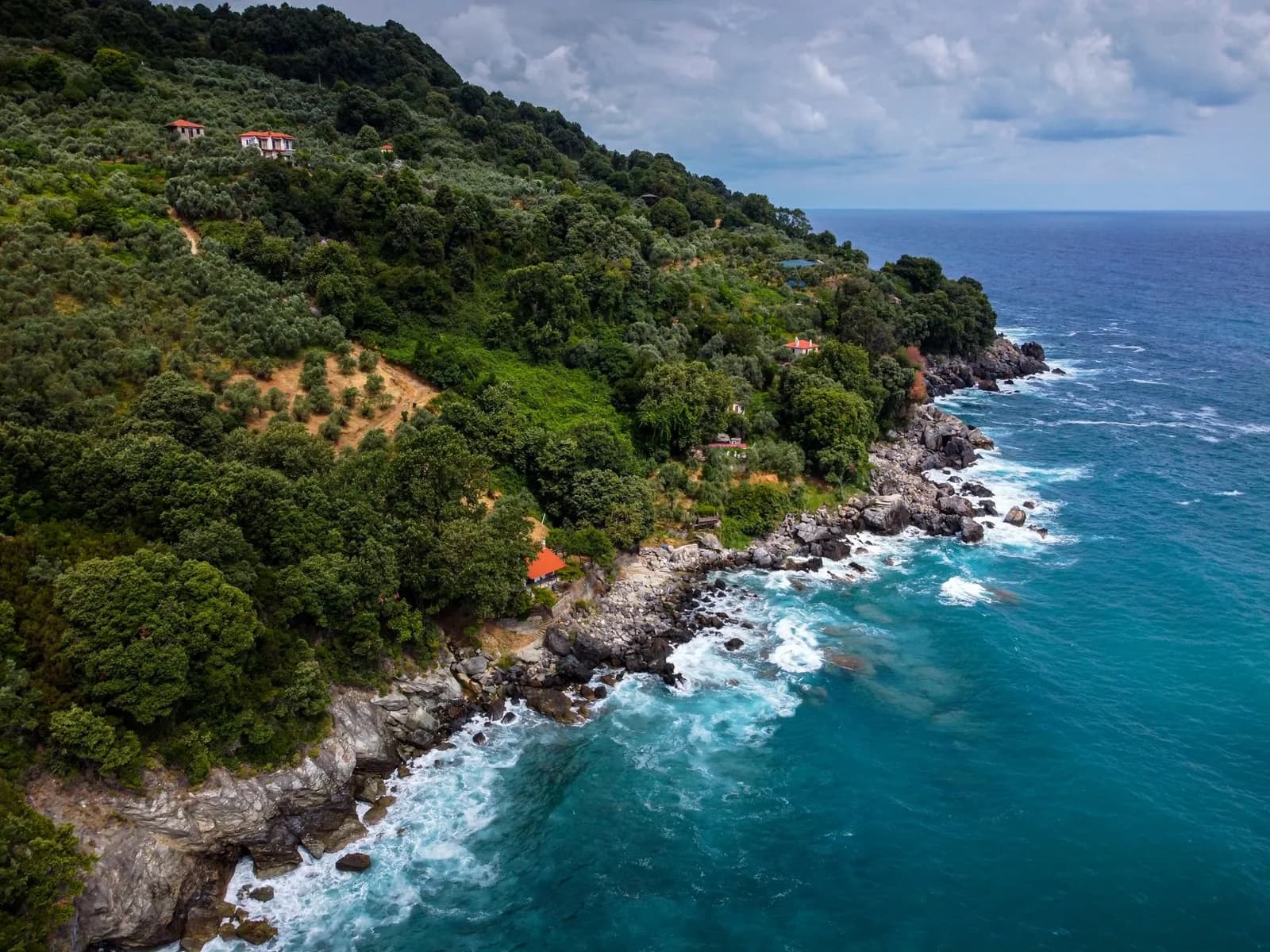 Côte est du Pélion, sa forêt qui descend jusqu'aux rochers et la mer Égée ouverte au large de la péninsule
