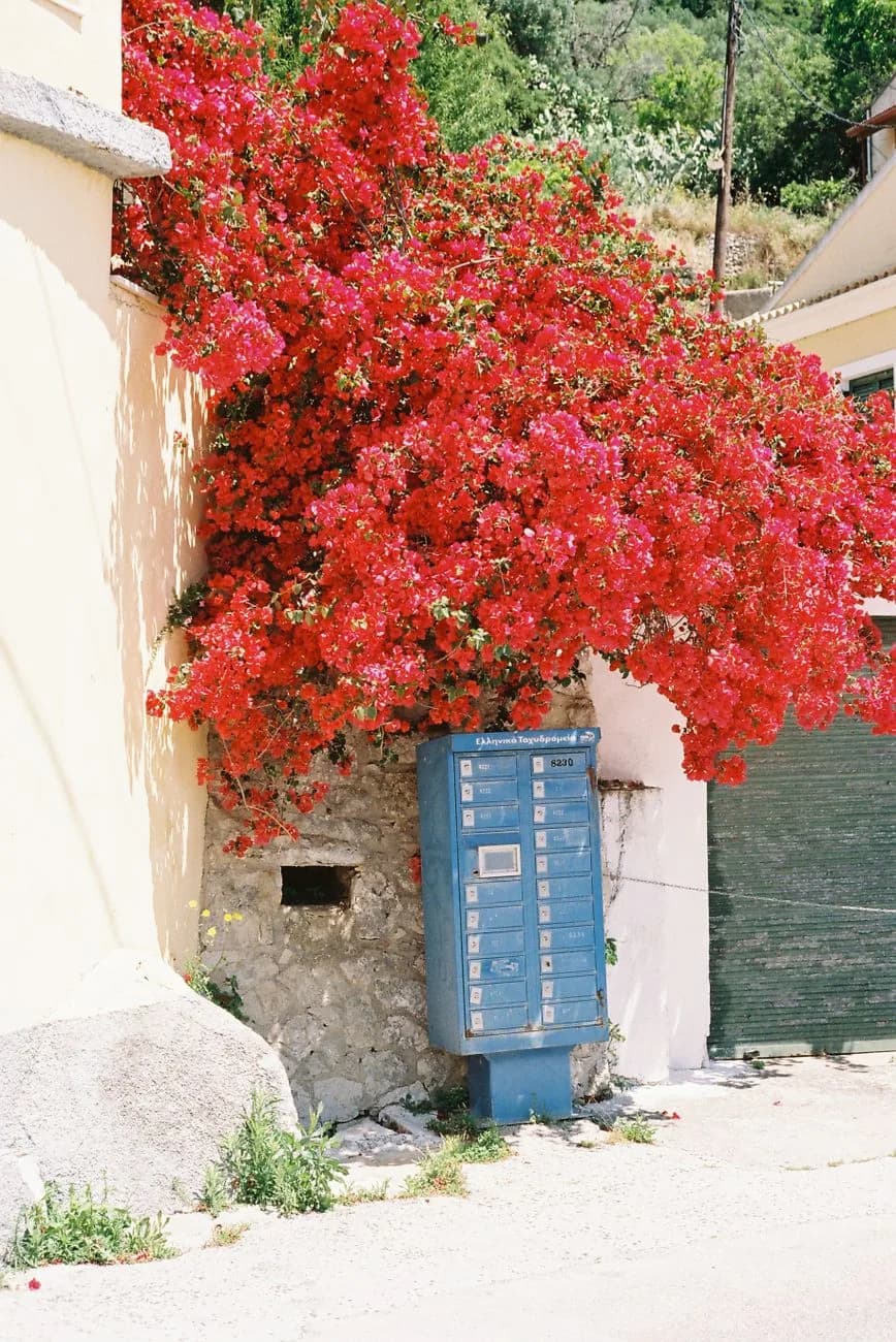 Bloc de boîtes aux lettres bleues de la poste grecque ELTA sous un bougainvillier en fleurs