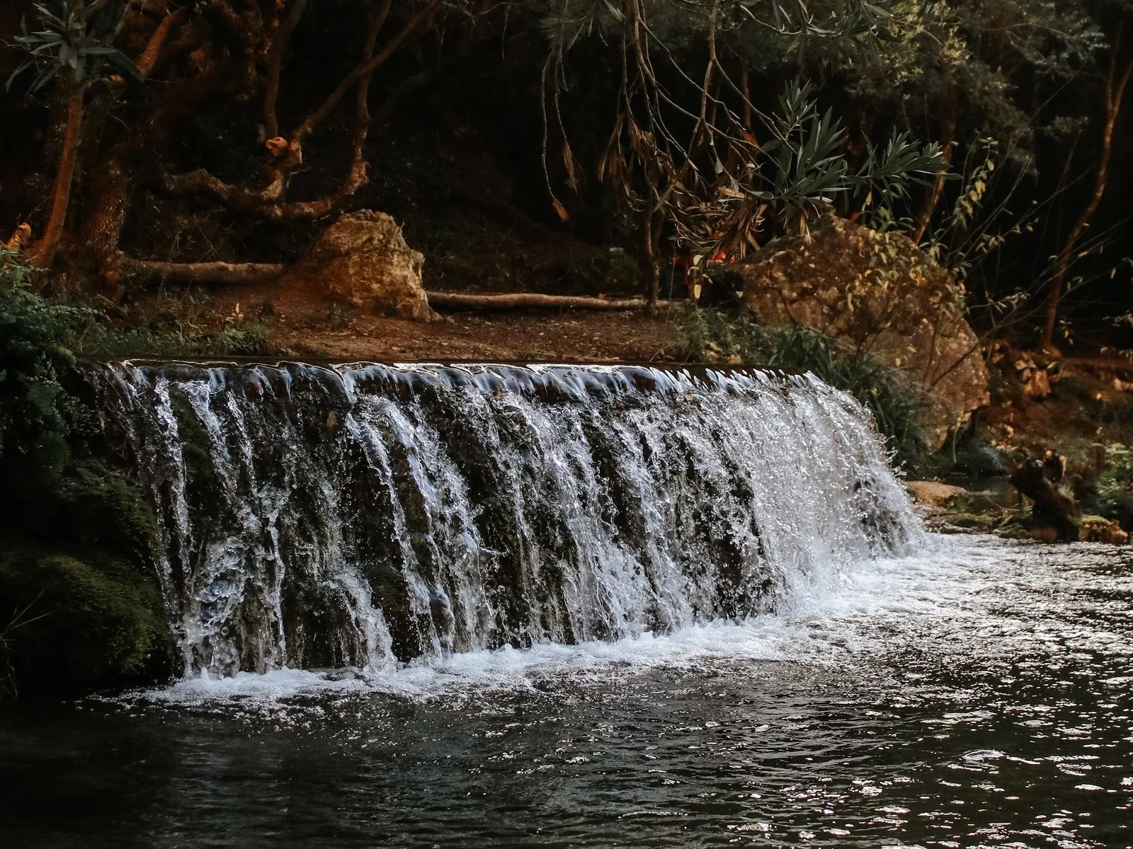 Cascade et bassin naturel sous les frondaisons, illustration des ruisseaux qui coulent dans l'intérieur boisé d'Andros