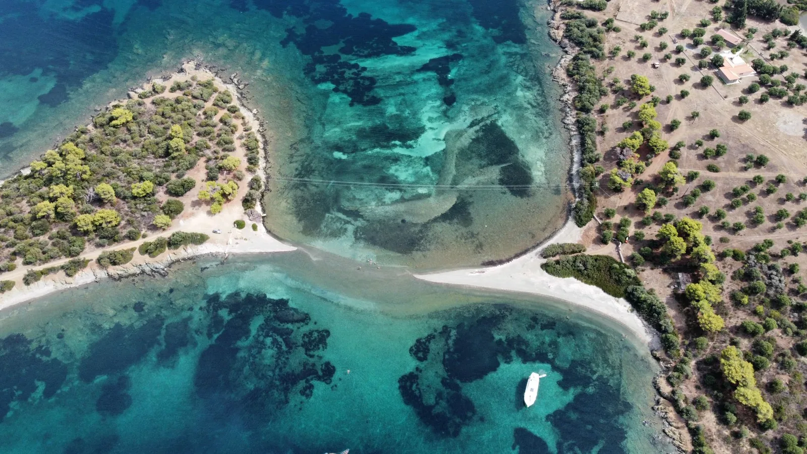Oliveraies et routes côtières entre deux baies de Chalcidique vues du ciel