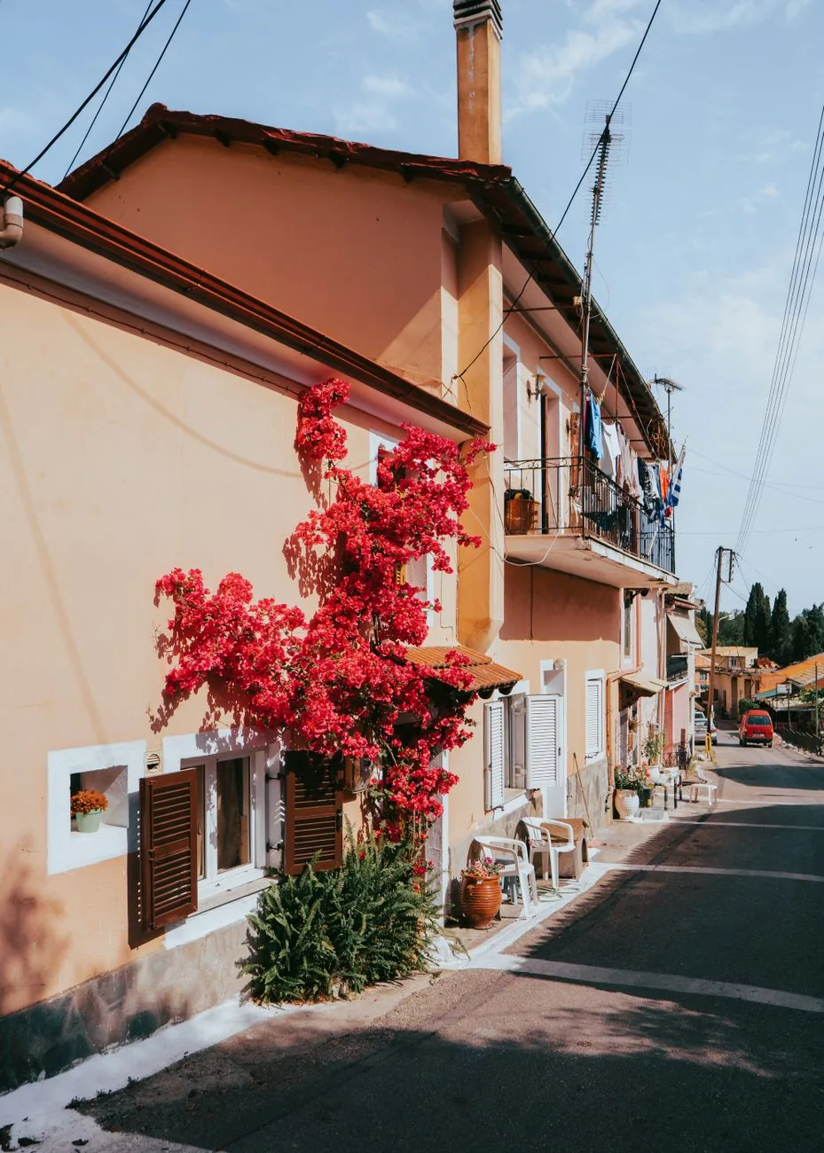 Ruelle fleurie de bougainvilliers dans le village de Sinarades, au centre de Corfou