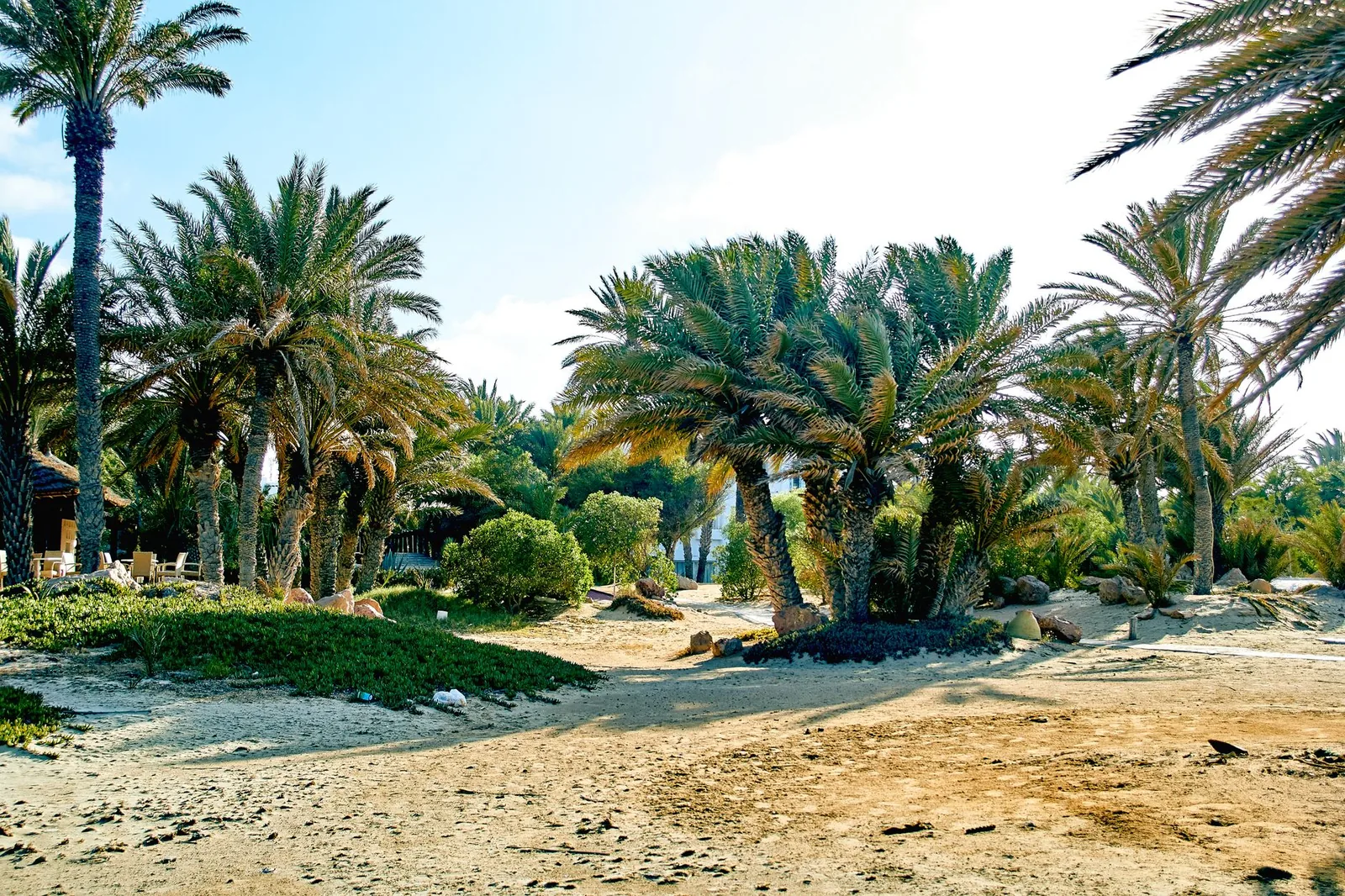 La plage de Vaï bordée de palmiers, à l'extrémité est de la Crète