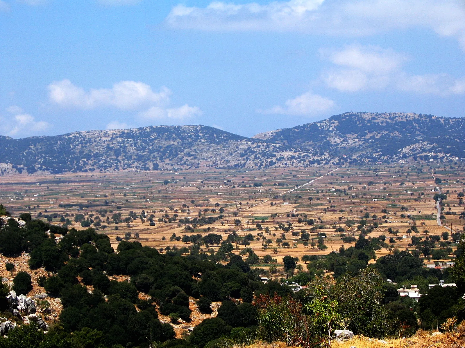 La plaine cultivée du plateau du Lassithi entourée de montagnes, en Crète
