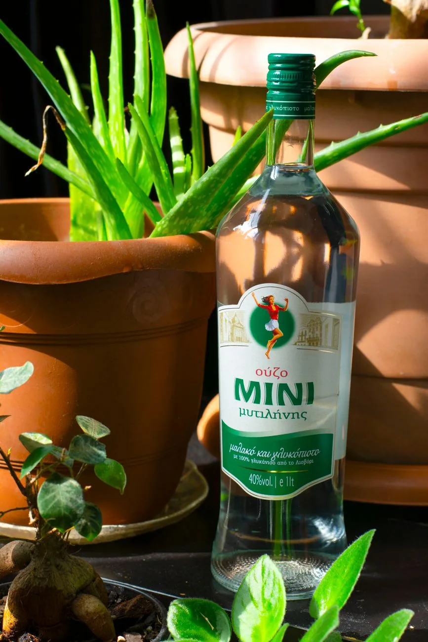 Bouteille d'ouzo grec de Mytilène avec son étiquette en grec, posée devant des pots en terre cuite au soleil