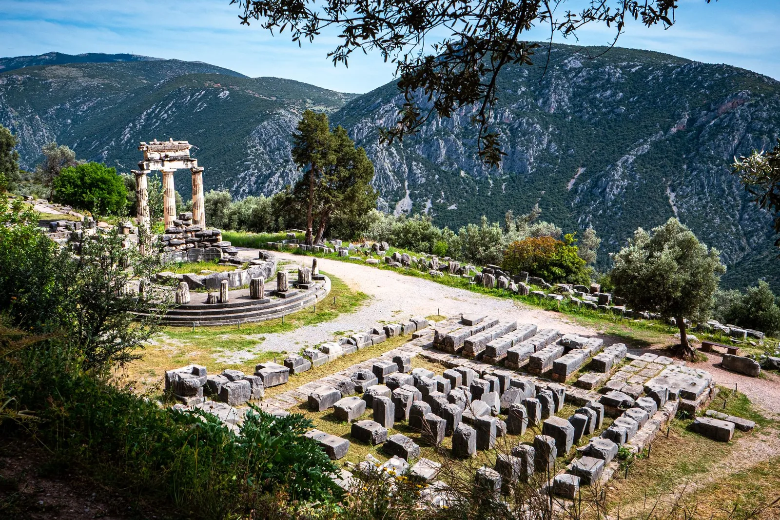 Vue d'ensemble du sanctuaire d'Athéna Pronaia à Delphes, avec la Tholos, les fondations du gymnase et la vallée d'oliviers en contrebas