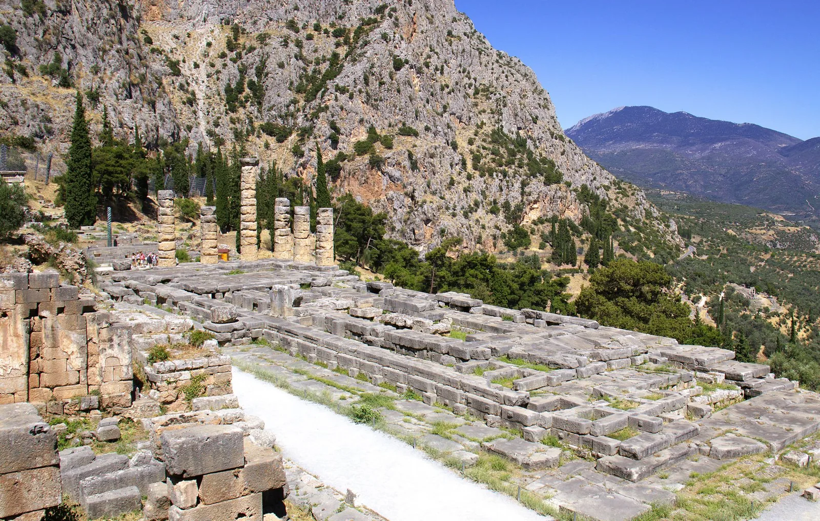 Les colonnes doriques relevées du temple d'Apollon à Delphes, sur leur terrasse dominant la vallée du Pleistos