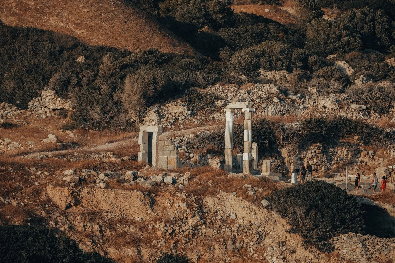 Colonnes antiques dressées sur un site archéologique grec à l'heure dorée, comme au sanctuaire de Kolona à Égine