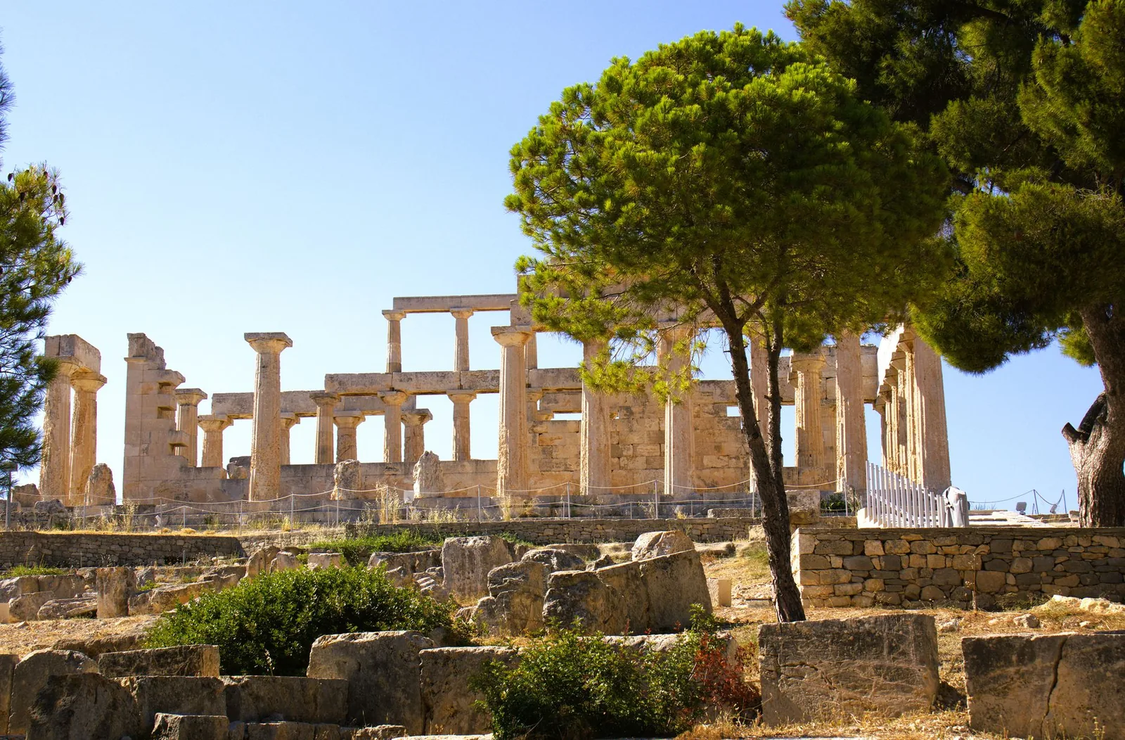 Colonnes doriques du temple d'Aphaia dressées sur une colline de pins, sur l'île d'Égine en Grèce