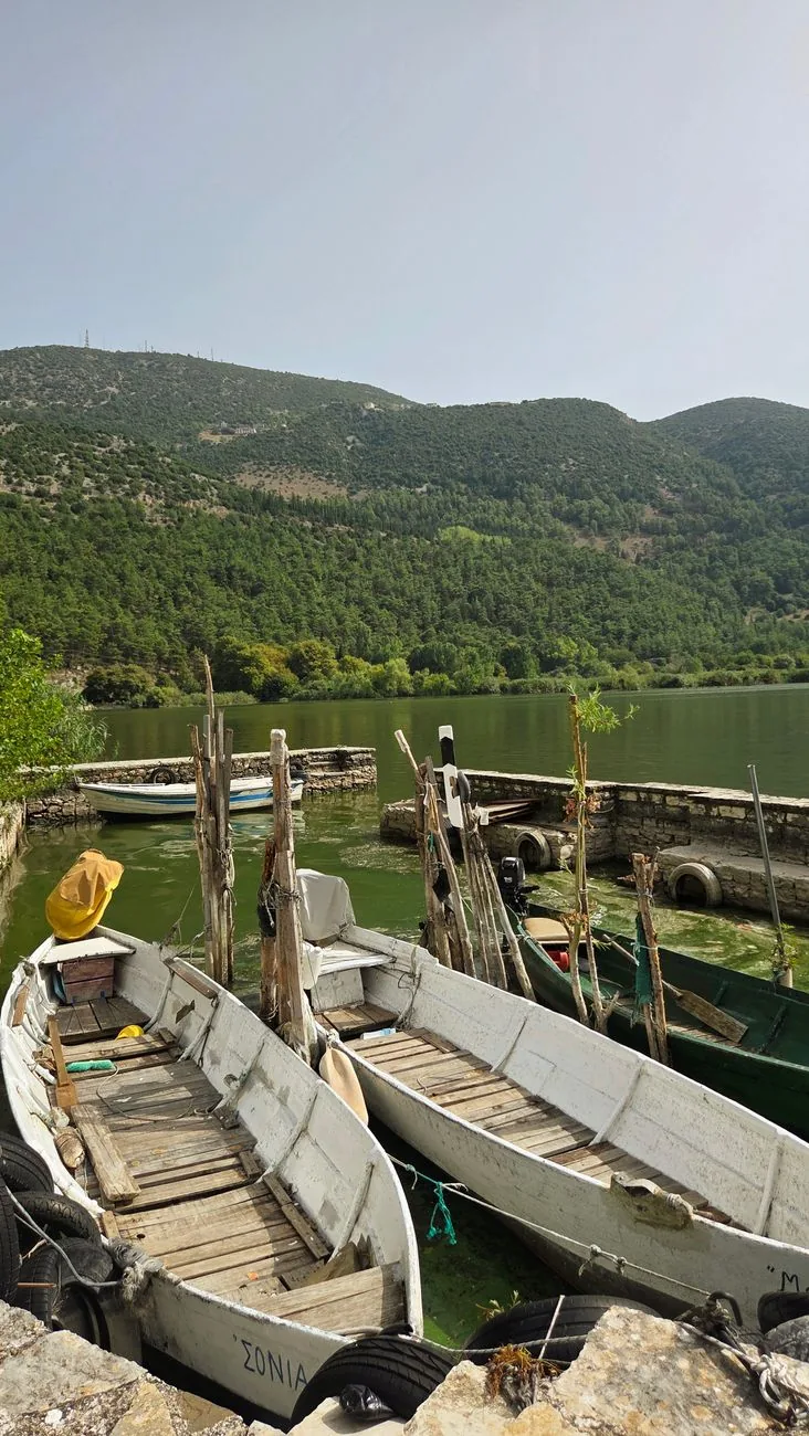 Barques de bois amarrées au bord du lac d'Ioannina, avec les collines boisées de la rive en arrière-plan