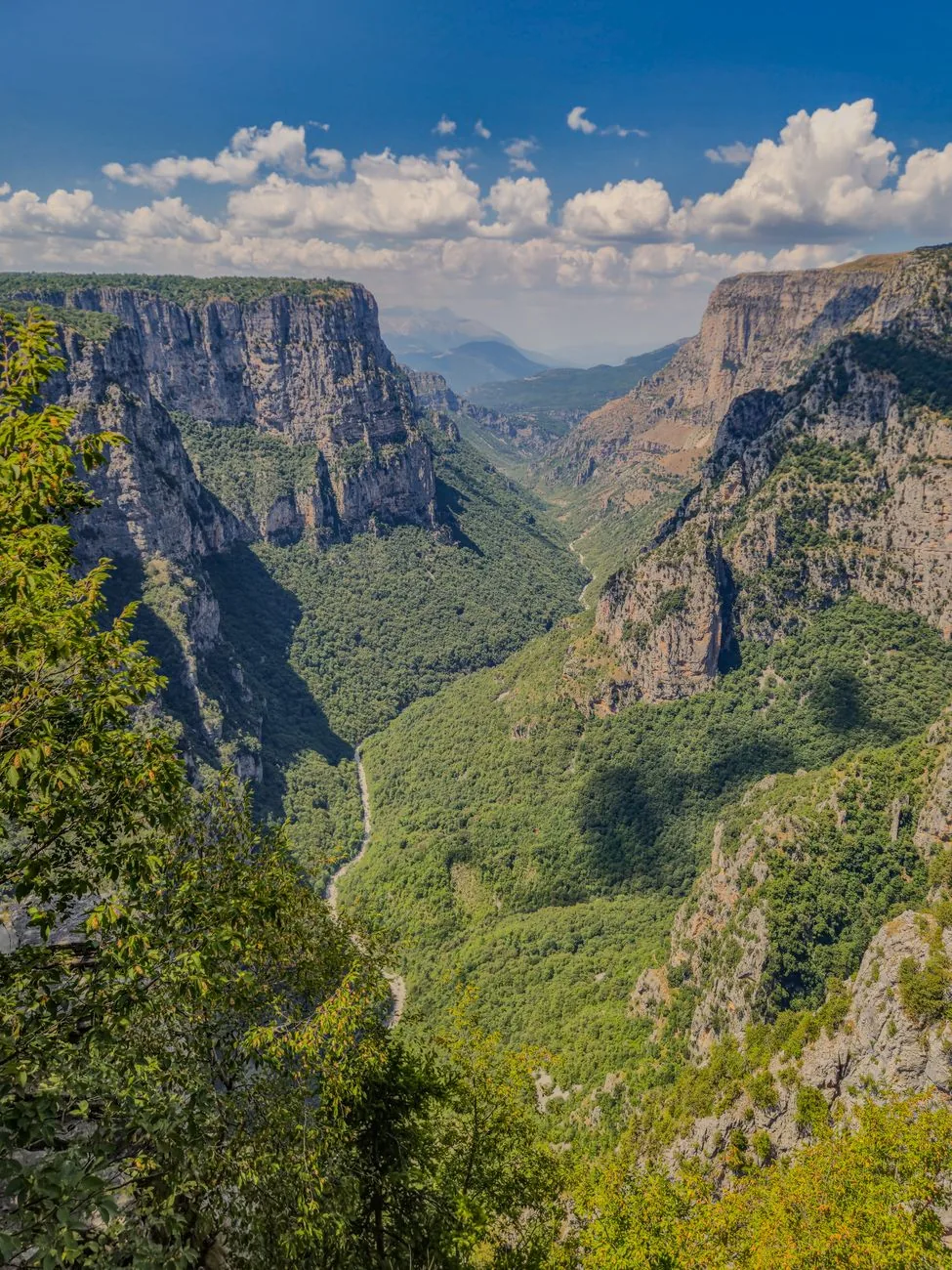 Vue plongeante sur les gorges de Vikos, leurs falaises de calcaire et la vallée boisée, dans les Zagoria en Épire