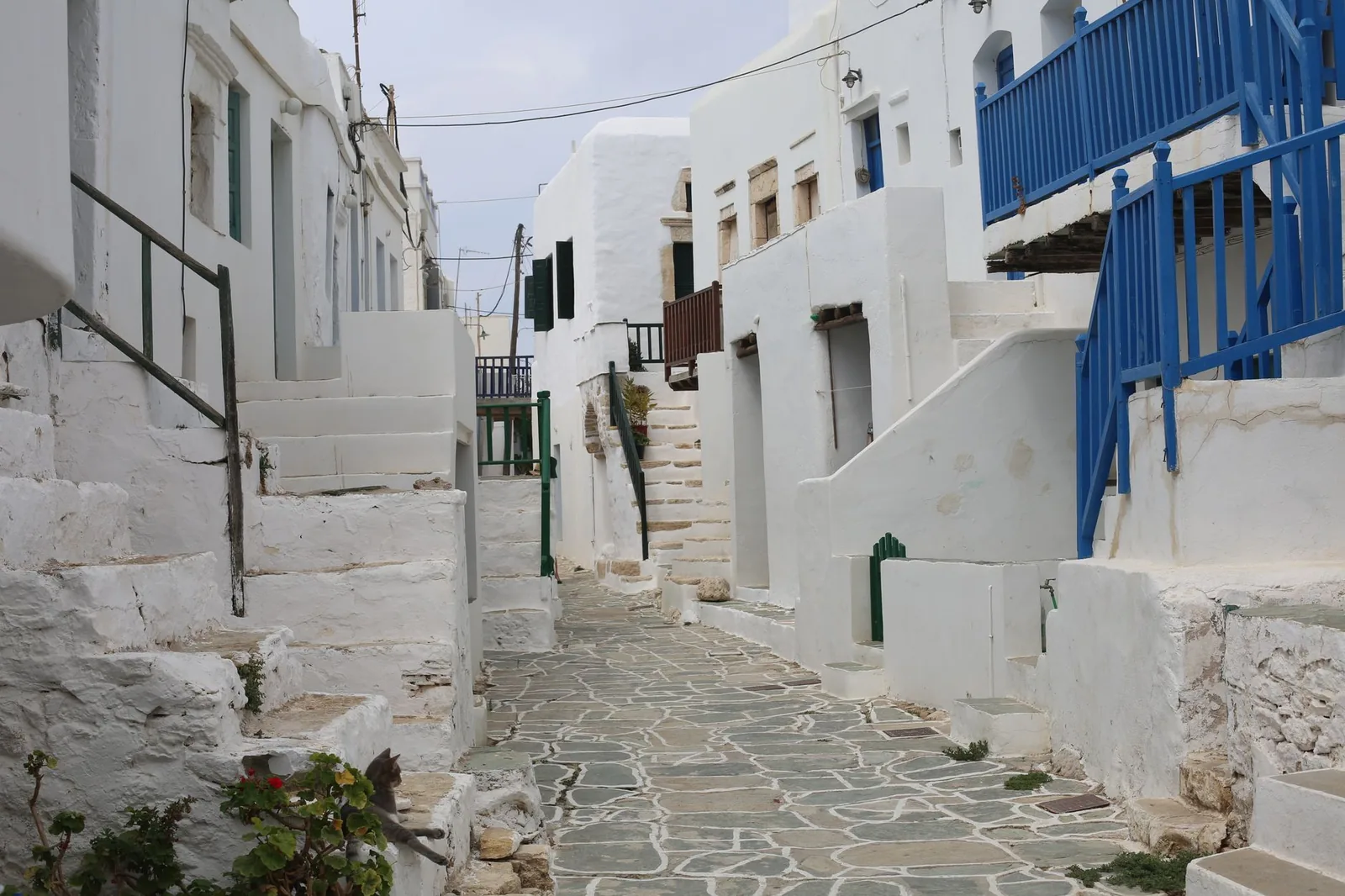 Ruelle pavée bordée de maisons blanches à volets bleus et verts dans la Chora d'Ios