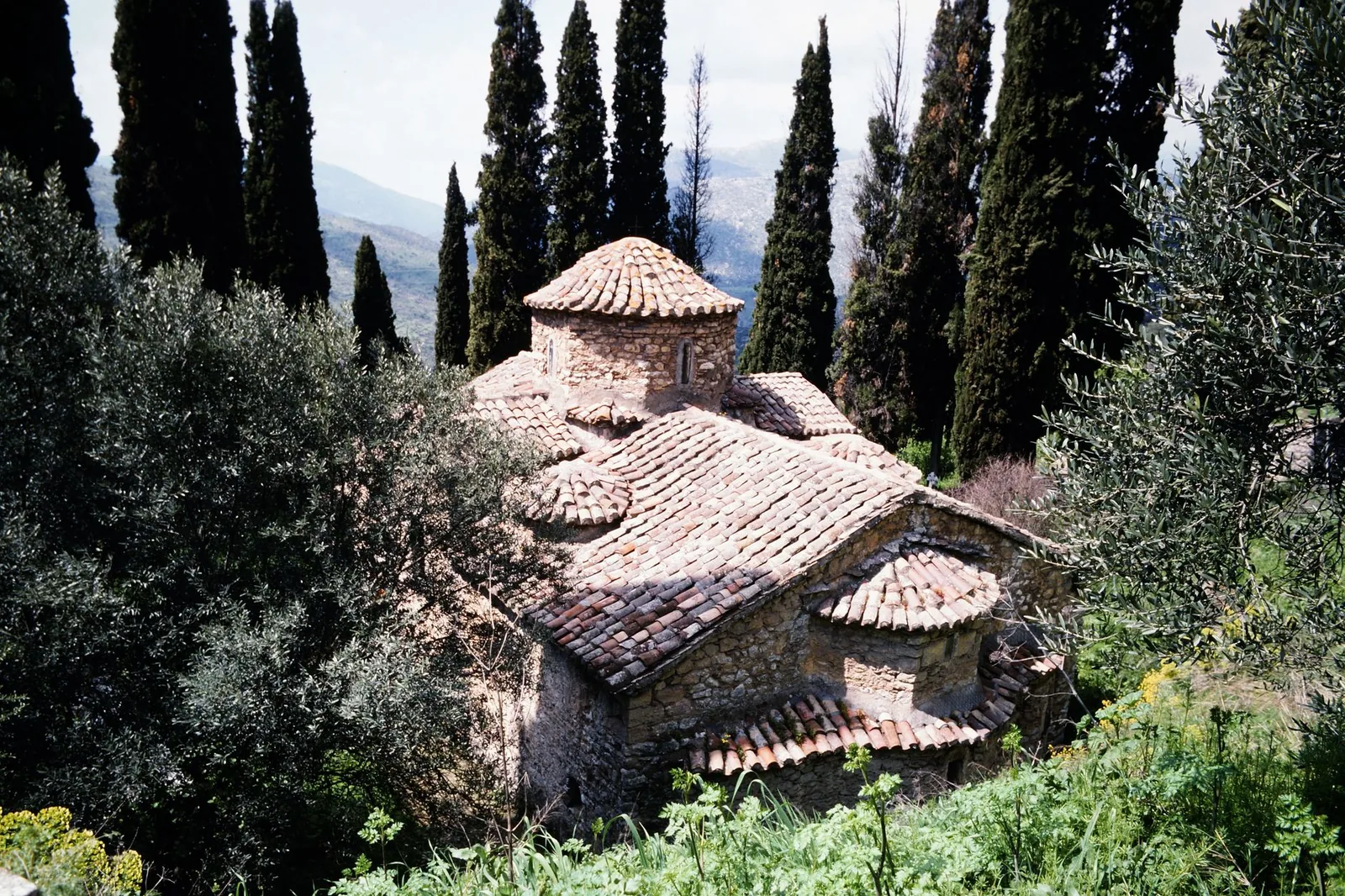 Église byzantine en pierre à coupole de tuiles, entourée de cyprès sur un versant boisé du Péloponnèse, évoquant la cité byzantine de Mystra au-dessus de Sparte