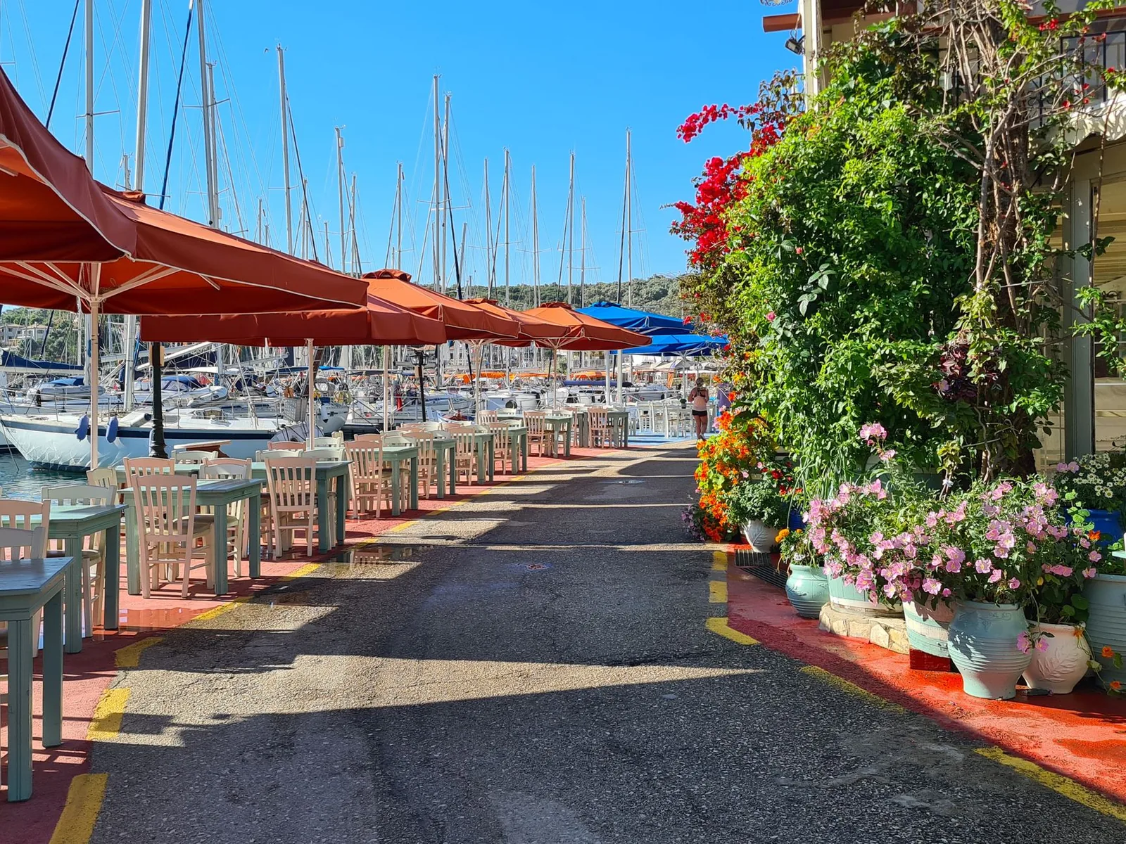 Les tables de taverne et les bougainvilliers le long du quai de la marina de Lefkada ville
