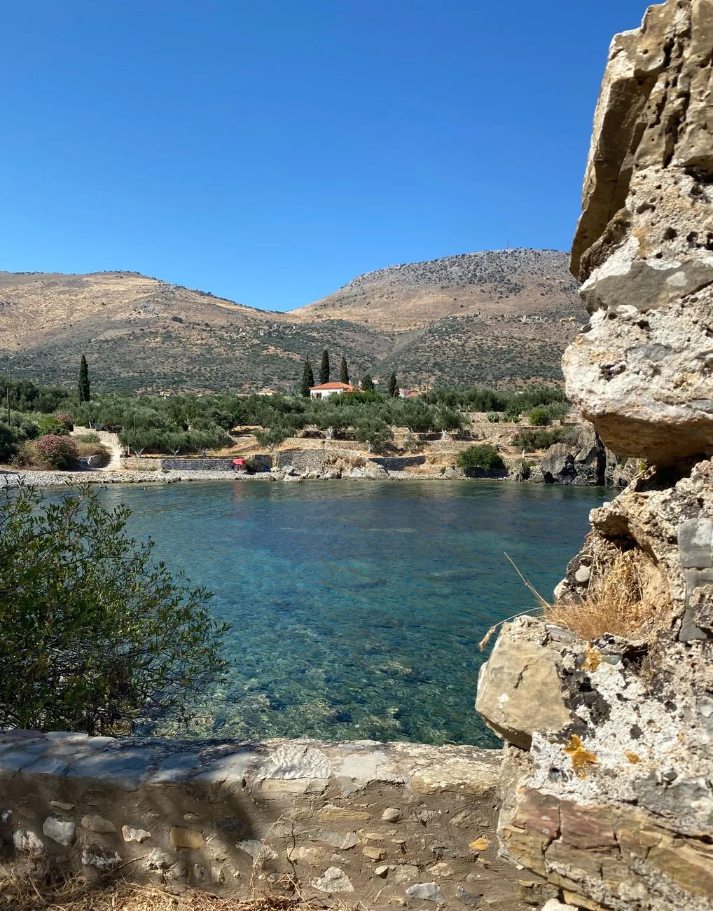 Anse d'eau claire de Gerolimenas dans le Magne, bordée d'oliveraies en terrasses et de collines arides du Péloponnèse