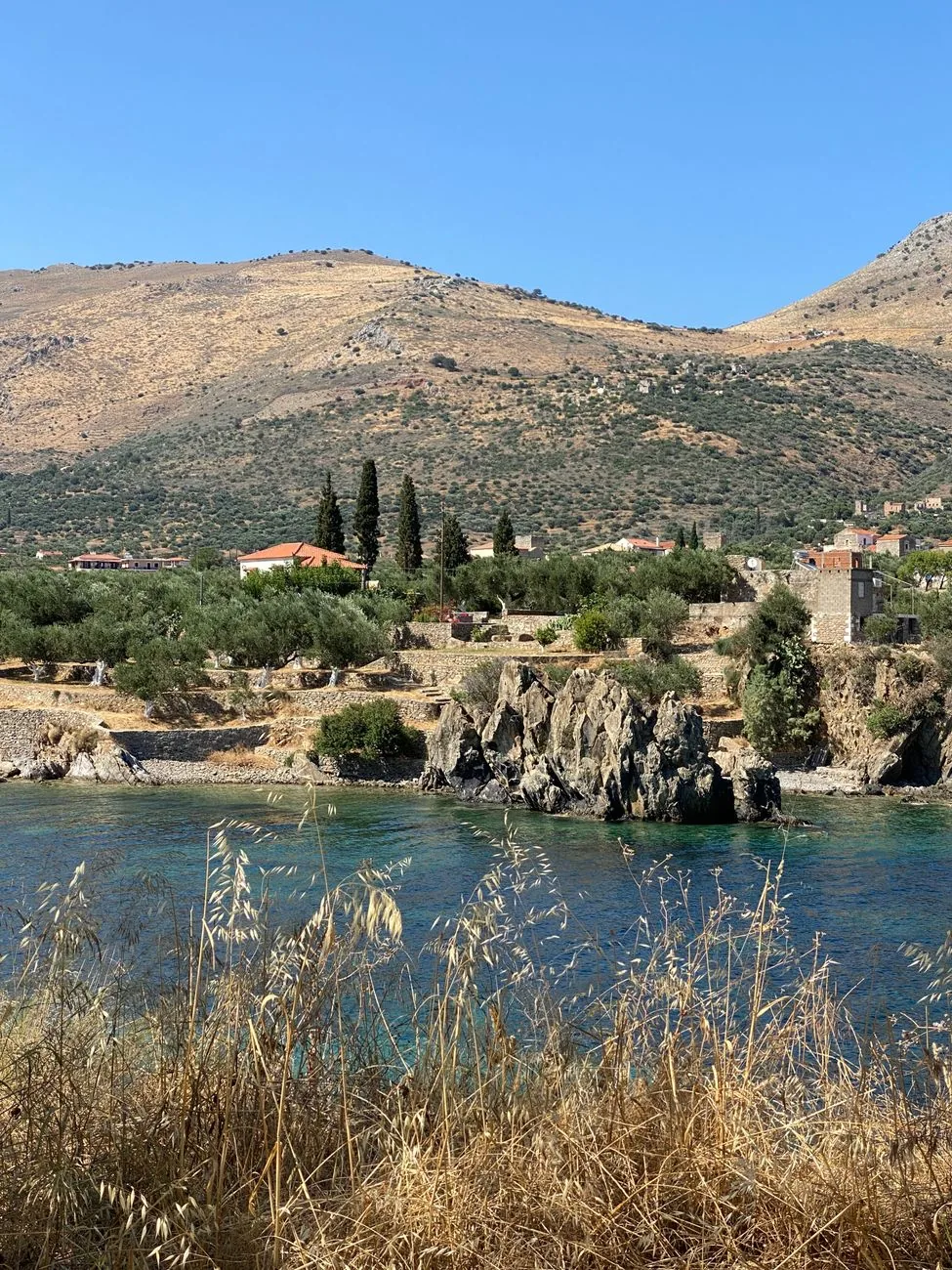 Oliveraies en terrasses de pierre descendant vers une crique du Magne, avec les collines arides du Taygète en arrière-plan