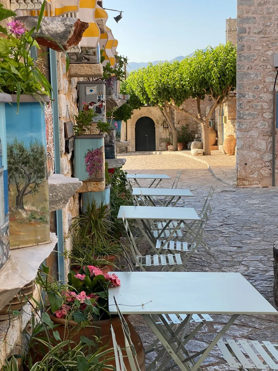 Ruelle pavée d'Aréopoli dans le Magne, avec les tables d'une terrasse de café, des pots de fleurs et une treille au fond