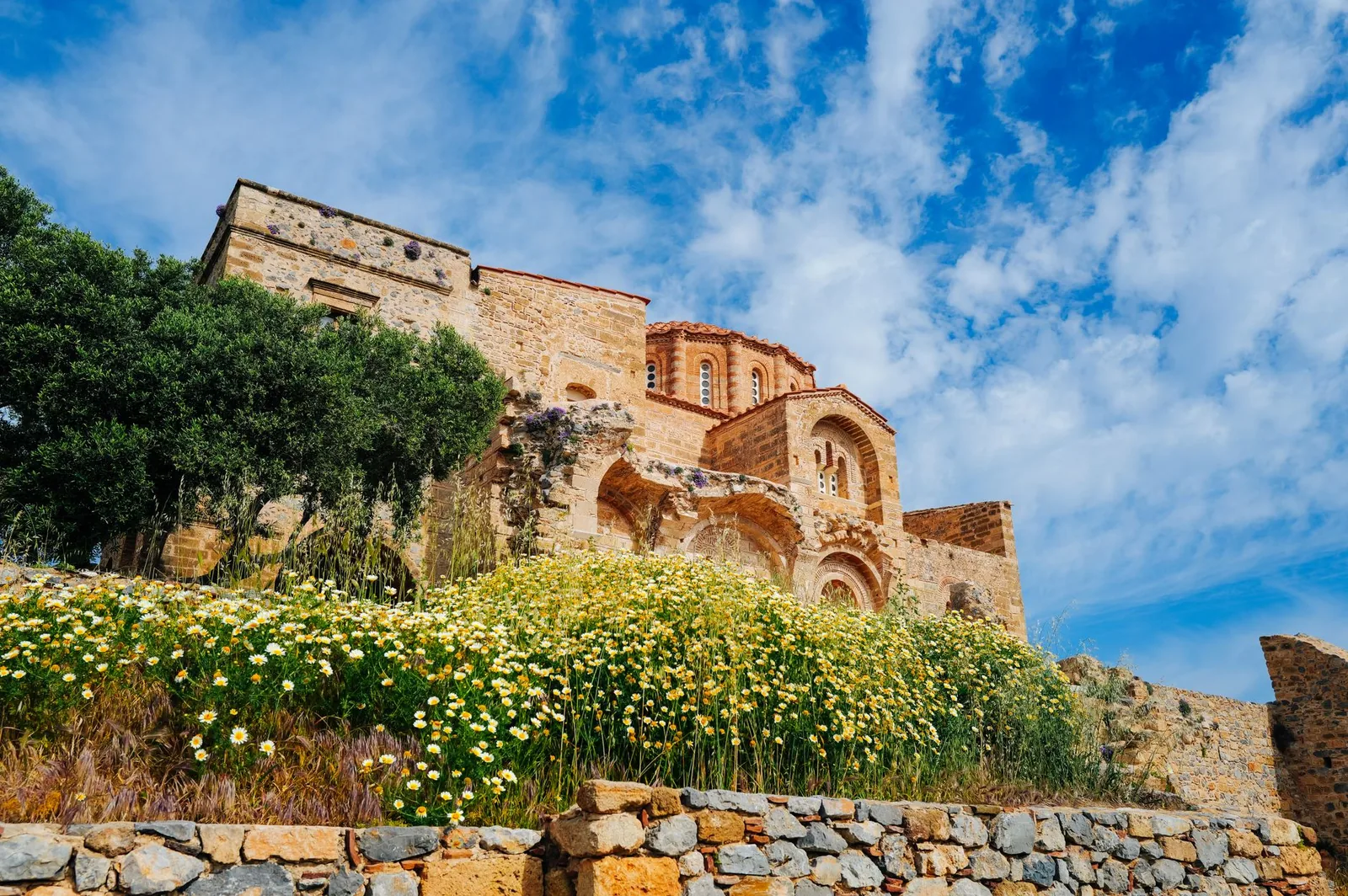 L'église byzantine Agia Sofia, sa coupole et ses arcades sur le plateau de la ville haute de Monemvasia, au milieu des marguerites