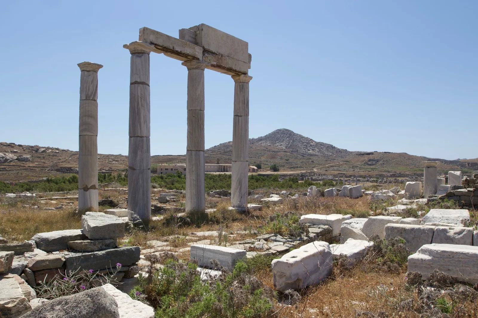 Colonnes de marbre du site archéologique de Delos dans un paysage aride face au mont Kynthos