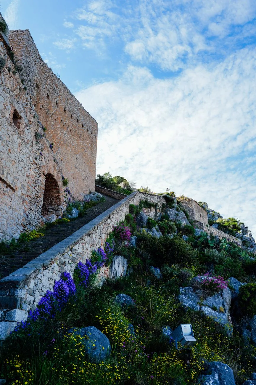 L'escalier de pierre longeant les remparts de la forteresse de Palamède, entre les fleurs sauvages du printemps, à Nauplie