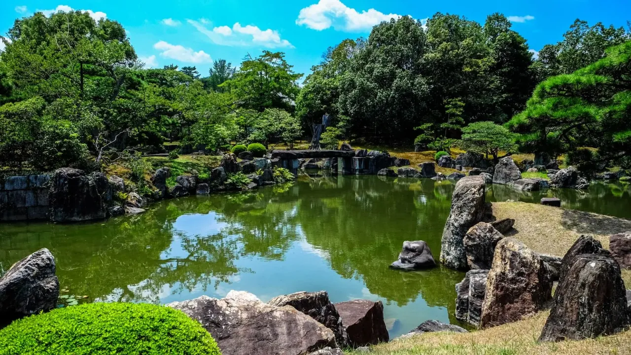 Jardin d'oliviers