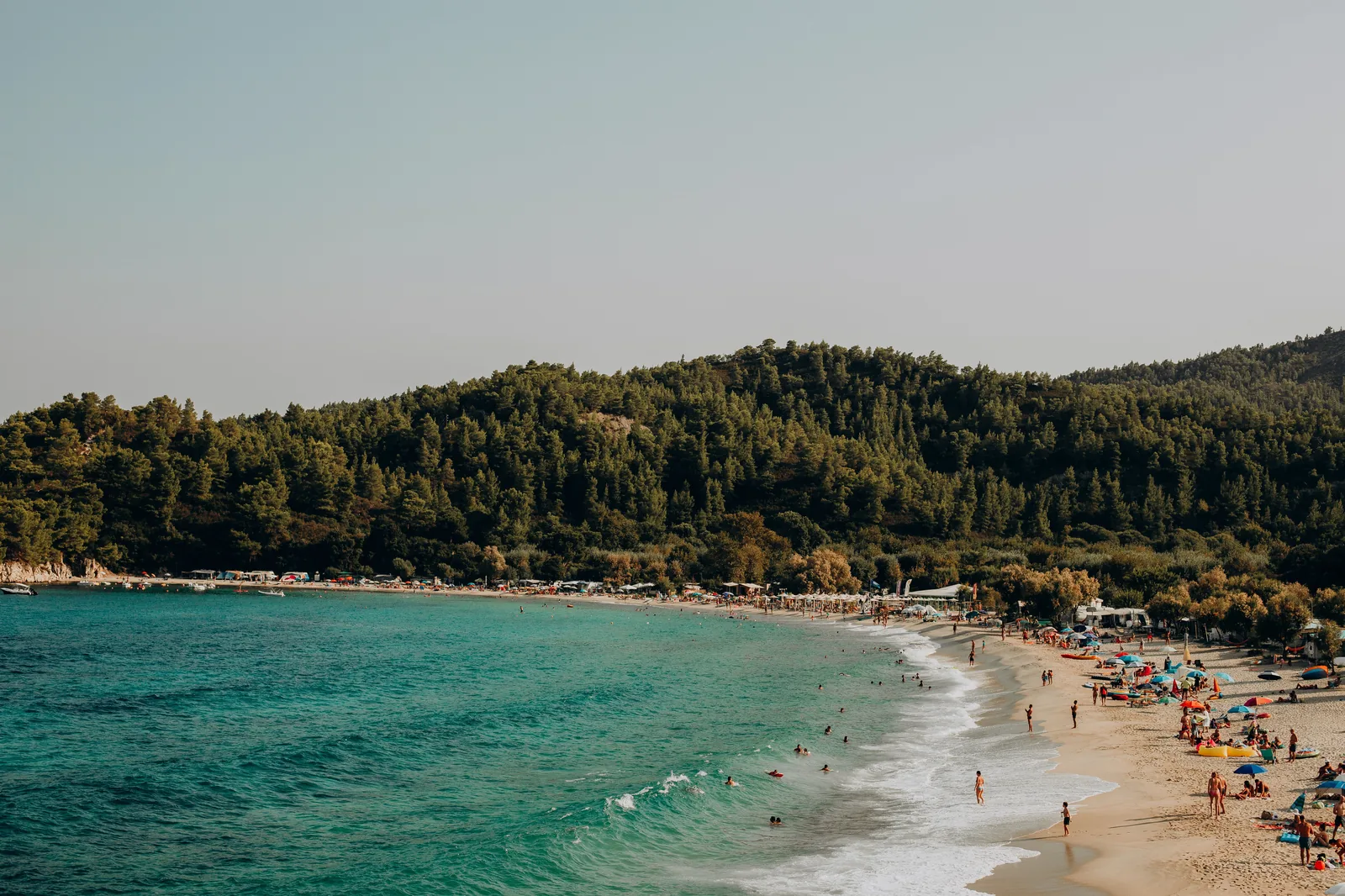 Longue plage de sable clair de Skiathos adossée à une colline entièrement couverte de pins, avec une eau turquoise et des parasols en fin d'après-midi