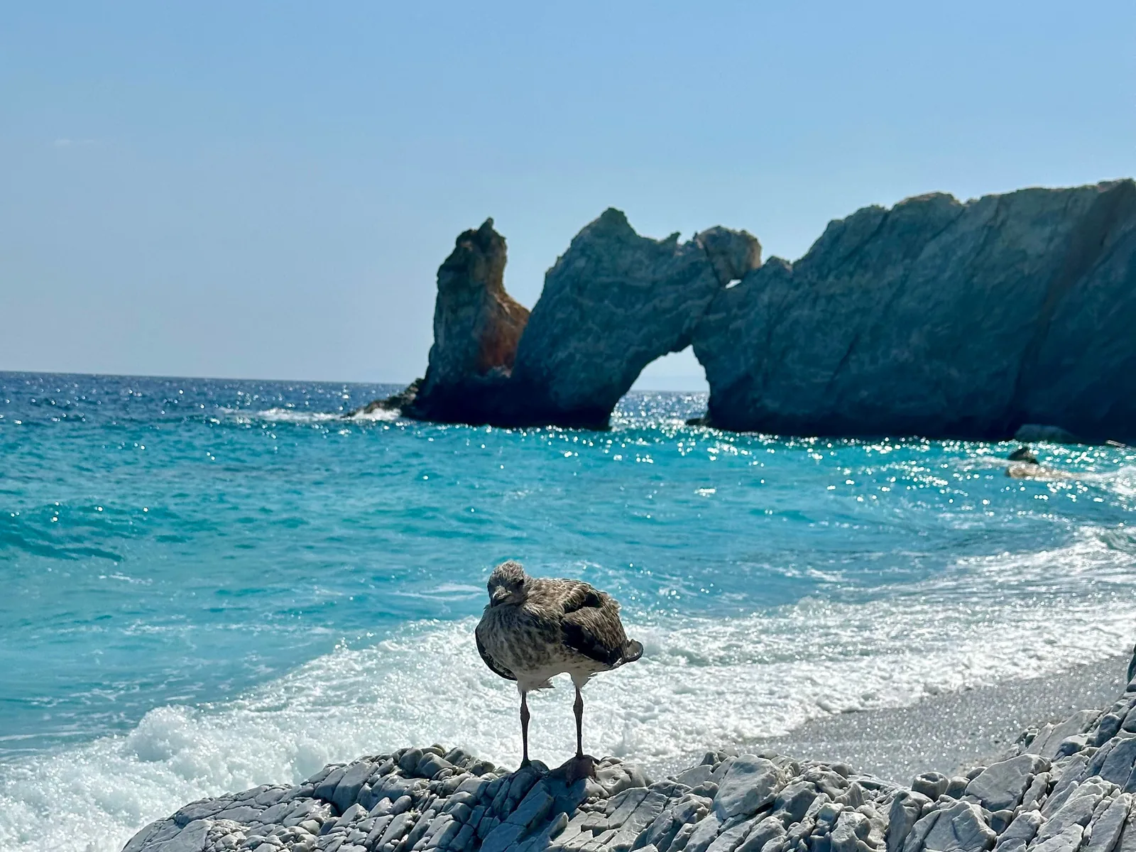 L'arche de roche blanche de Tripia Petra à la plage de Lalaria à Skiathos, avec ses galets de marbre clair et une eau turquoise très claire