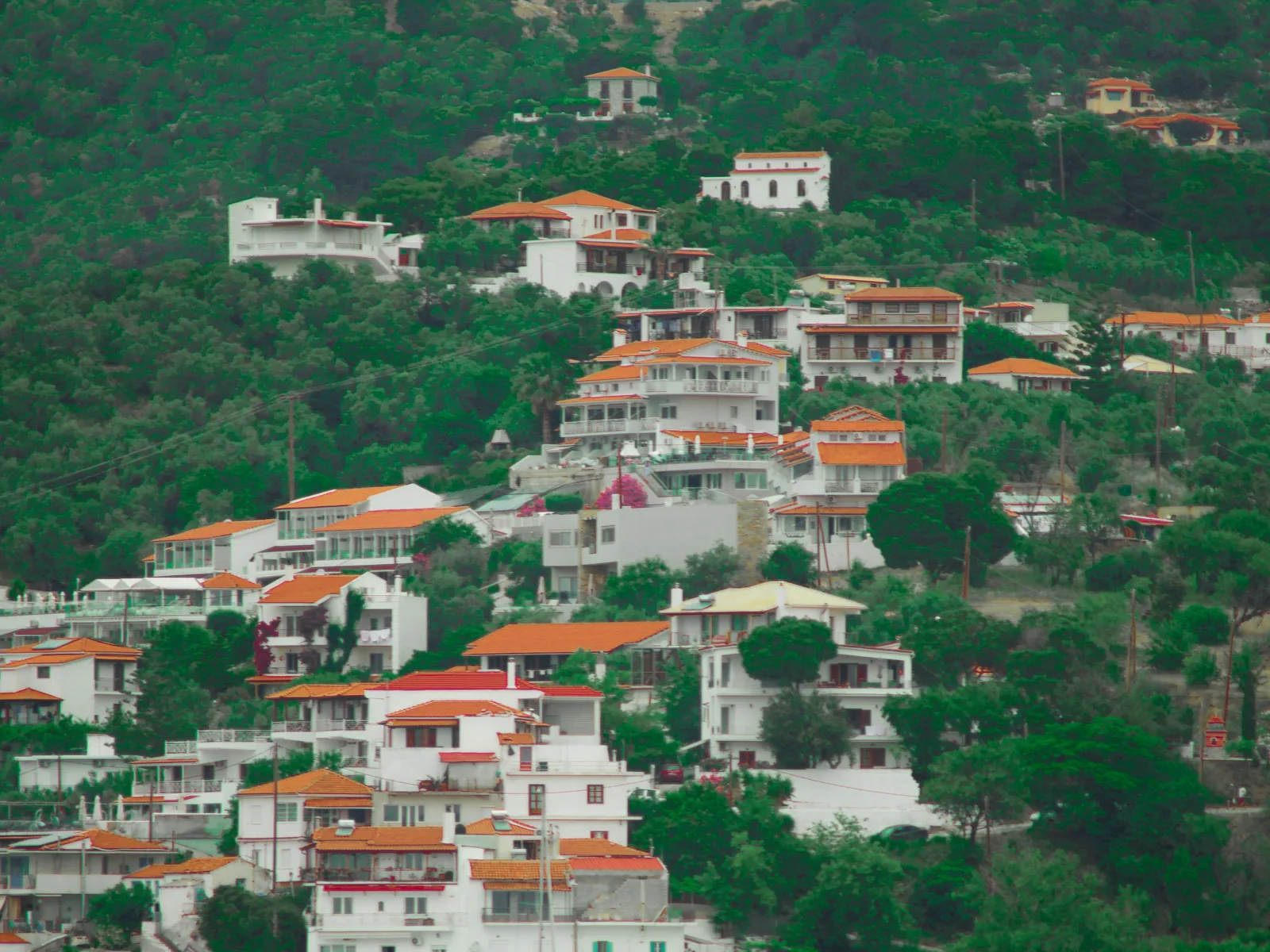Maisons blanches à toits de tuiles étagées dans les pins au dessus d'une plage de la côte sud de Skiathos