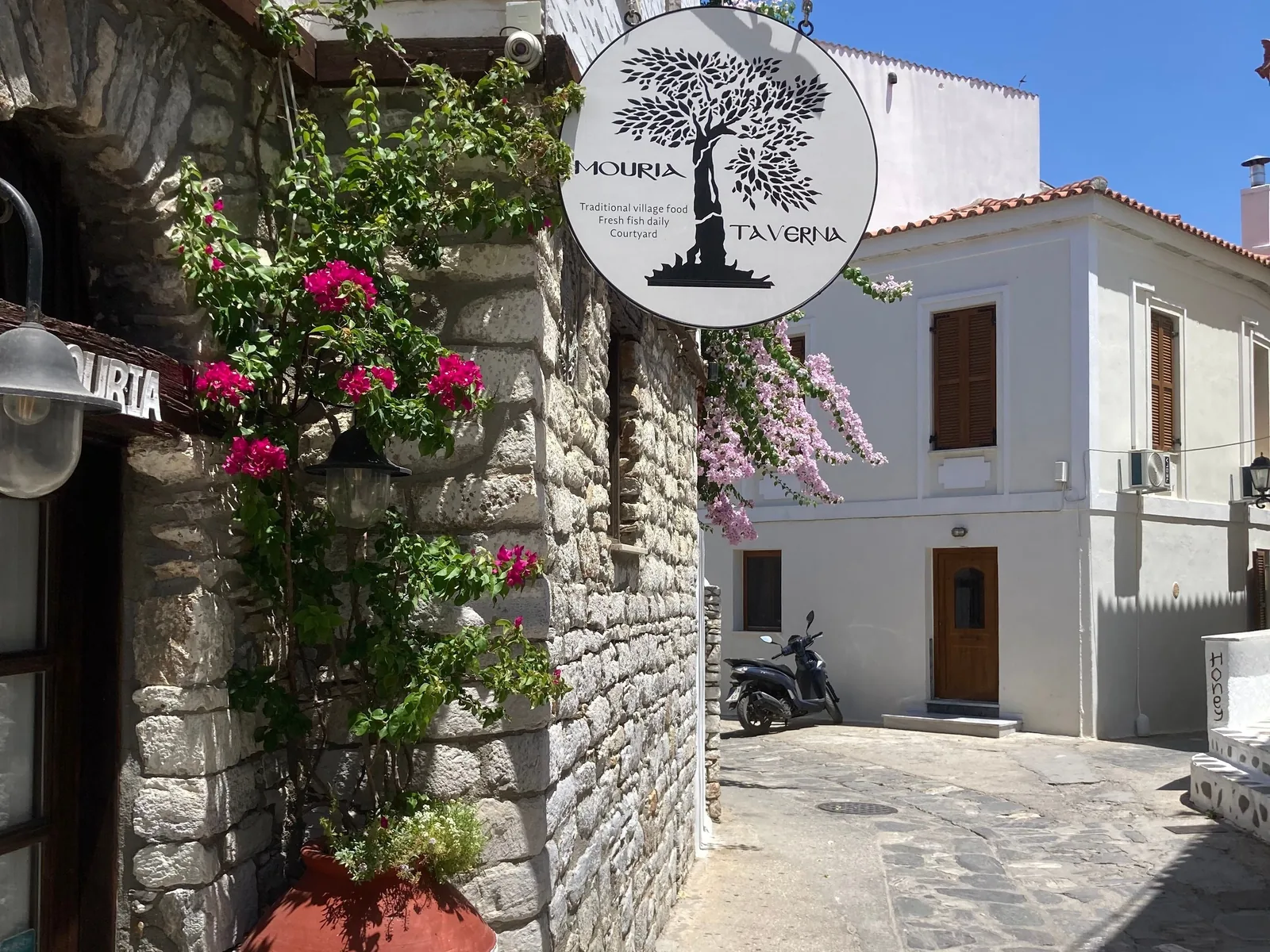 Ruelle pavée de Skiathos Ville bordée de murs en pierre et de bougainvilliers, avec l'enseigne ronde d'une taverne traditionnelle
