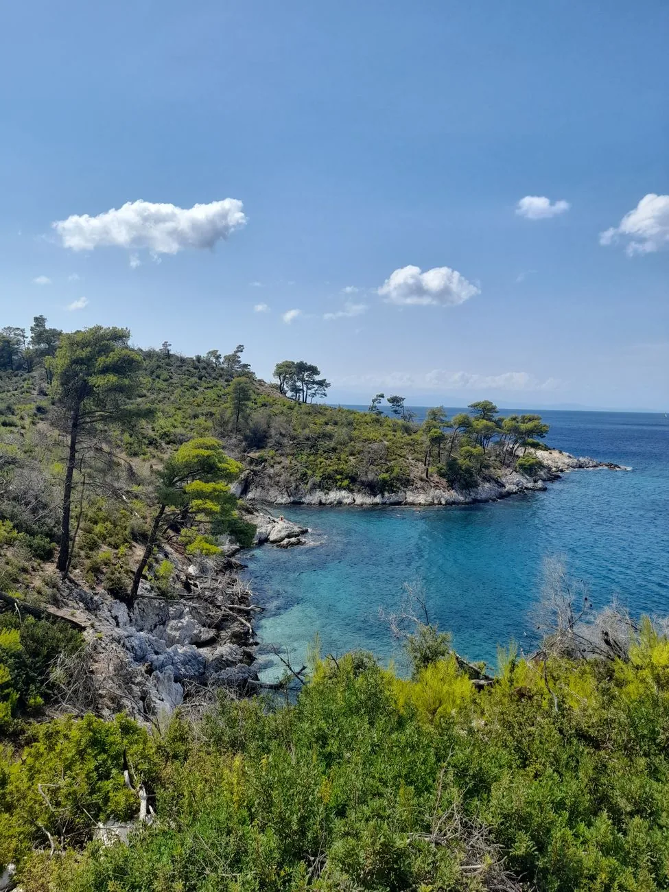 Crique d'eau turquoise bordée de pins sur la côte de Skopelos, avec une presqu'île boisée au loin