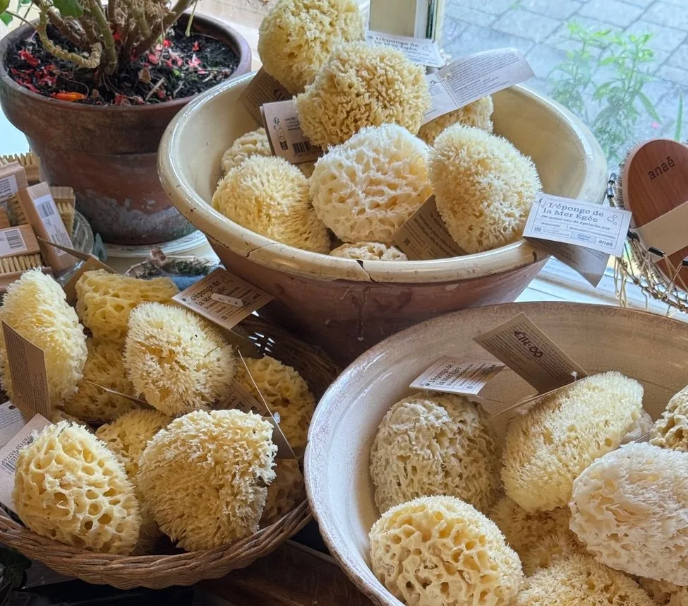 Éponges naturelles de mer Égée présentées dans des coupes de céramique sur l'étal d'une boutique, avec leurs étiquettes de prix