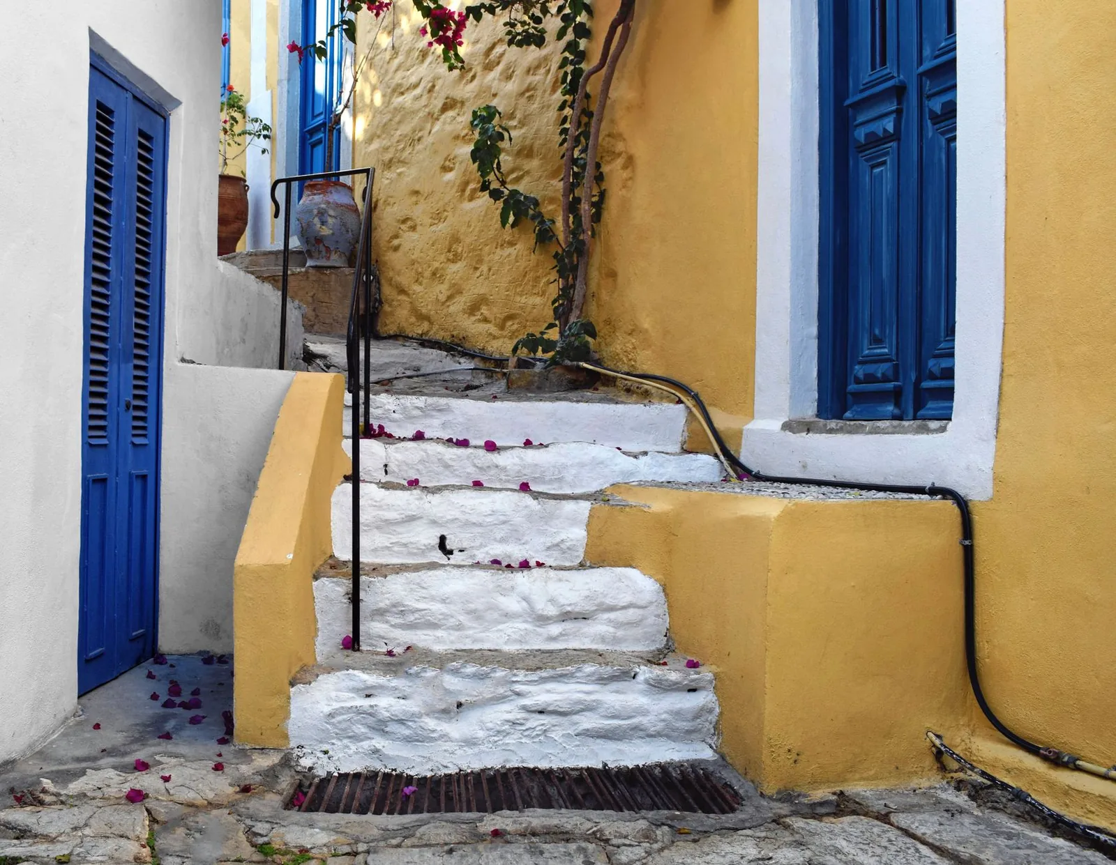 Ruelle en escalier d'Ano Symi, entre un mur ocre à porte bleue et des marches de pierre blanchies, pétales de bougainvillée au sol