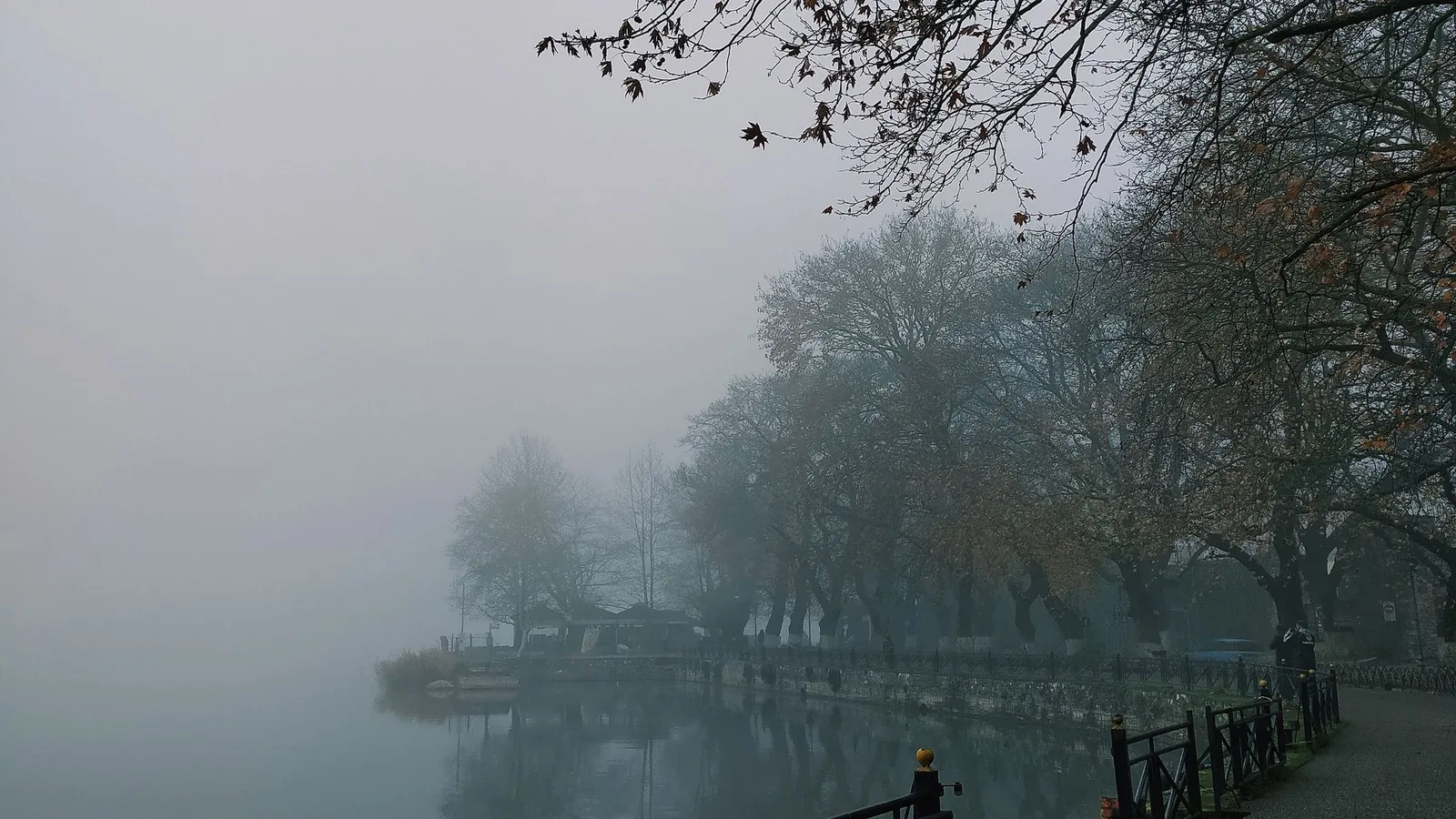Brume d'hiver sur le lac Pamvotis et les platanes de la promenade, à Ioannina